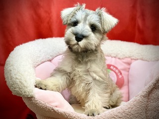 AD49660C-A40D-47DF-958D-47C38FBFDC99