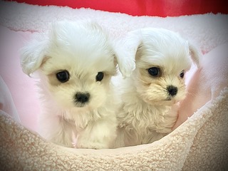 B4F4F290-33A2-4D29-9B51-A6CA0AEBE0CC