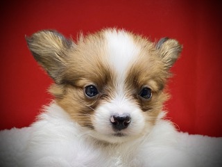 9BA9D92B-0560-413D-9FA6-A58B3CB48EC5