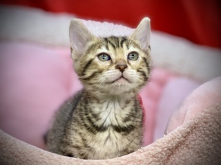 9C51B361-D9C7-4AE2-AC81-00503A3C3E6F