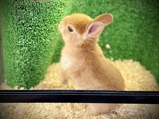 07A6D32E-9B42-4435-A5EB-8257B41CDEF5