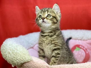 5F475D19-8BE3-42D6-8A06-630D0556FF5B