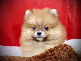 0F7E2F05-4218-4020-82C4-05AA76927BC2