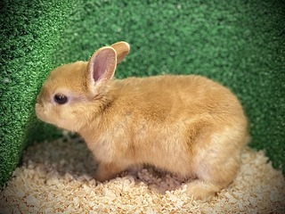 BC264ABC-0BF3-4B74-8DE2-24145FEAFB36