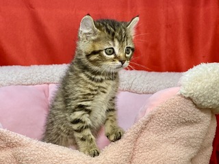 103C8391-D71F-44B8-9D84-8BFC4AB2226A