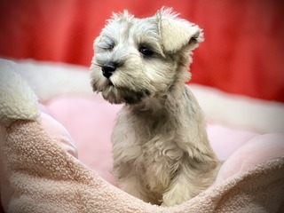 0FE6DA65-A2F6-4677-9AAF-DEB375410F91