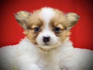 F64F6643-82E9-4813-AB71-629EDB1F97D4