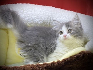 EEC47A52-F664-414F-A725-498AF6588C84