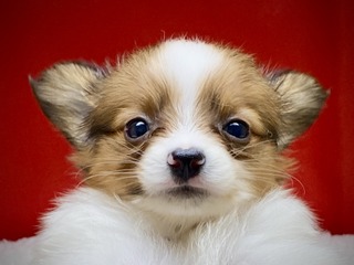 4B6A9489-4D24-42F9-9F76-4846FEA01395