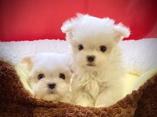 B2A42422-0F09-4F49-8257-D3CFBA56E509