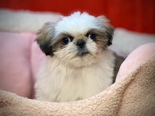 047E2004-7E9D-4D0D-8385-D3695083A908