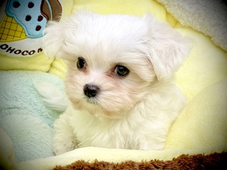 F6AECD37-3E56-4612-B14E-F7ED978DF406