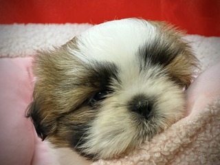 B5740420-7DB5-47DD-8A3E-2C319D814B83