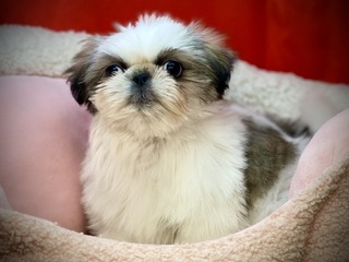 EBB6B0F6-72E2-49E9-A663-E5C003EE6F21