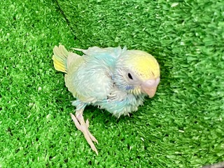 11CB5749-0FF3-473C-8FBC-E21E0D8CD94C