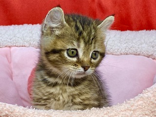 9CA12F65-6B39-4622-99C9-CC31D33B6CD1