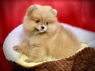 B5365FA0-6AE2-4FF0-858D-65744D612F93