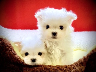 EA42FDB5-5B06-4E84-9689-E218809C7BA6