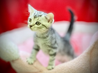 BDA0CEB5-E084-4A61-900D-1F0DF8EE4530