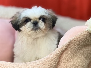 21ABF9F5-1E51-46CE-B30A-BDDBD0EBAD7A