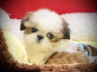 D836825D-EAF2-45A9-B99D-293CB0FA2E4D