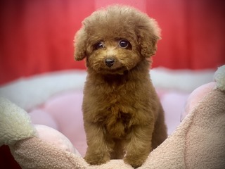 05C0F448-EE08-40DB-942F-C6D39ABD5832