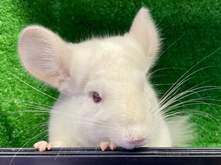 ECD697BC-C15C-43FE-AE76-D0477F39F6A3