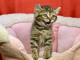 94D30F98-4B38-4C5E-A064-D61EBD02DB8D