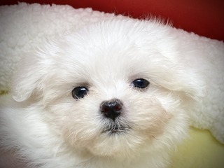 EE4A7EB3-C6EC-4F05-AF6F-4409EBEF88D9