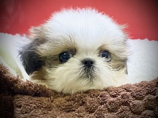 2E0B33B7-ACD7-4A32-9B30-A911503E5C78