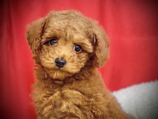 B3CC7BD9-2688-489A-807F-6D83E2AAF695