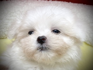 EB10ECE3-9F51-4FE2-85CF-2D420D6B3F67