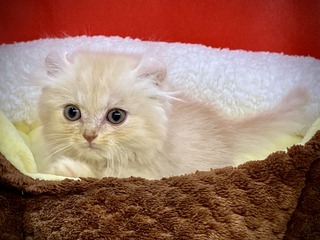 985CCA76-8A3F-4BDE-AE6F-FCBB4D591695