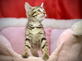 3A0E3B0E-ECD1-47C9-B4B1-C9CF38F1D38F