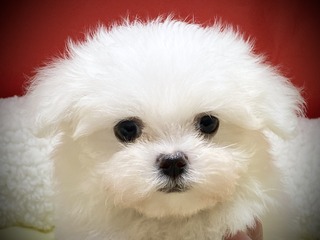 E7F69FF5-B523-4CB1-BD72-E926029CDAB9