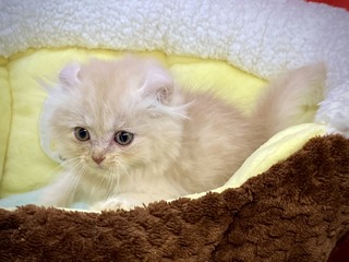 E4F66E8B-BD32-4043-830C-046CDCD6071E