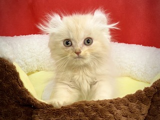 4BC8FDFD-E90D-407B-848C-BFFC6C78ECAC