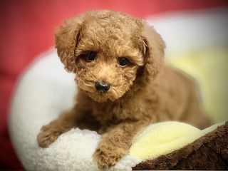 F42563E8-C43B-4176-981E-E4D31B07C2AC