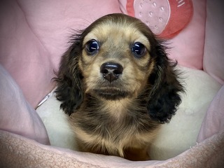 IMG_0586