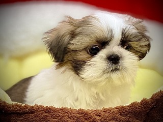 F79246A6-80FE-46DB-8AA4-6BE3A18D171E