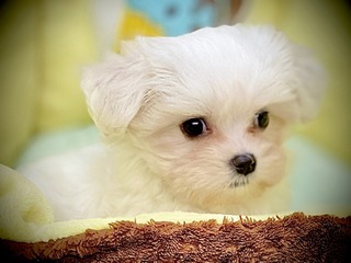 045D0AB8-64B1-47D5-B37E-8BD3BC96AED3