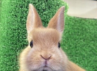 A4F1B512-5ECD-4139-9AC7-78D9E22B6109