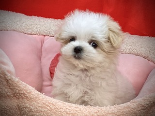 12EDD1D1-AD5A-438D-9087-1E38D7F6AE62