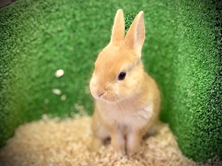 EDE1A623-CCA6-4558-B9A0-61FAC6E4B23F