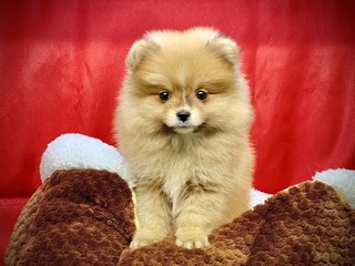 BA890F83-4F9E-4E1E-BB61-B8277C333F8C