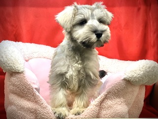 678A41D8-166F-4F57-9644-DED9D9C88640