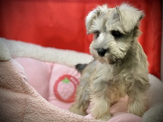 2F70EEB4-5FD4-4094-A870-4186C87B2A03