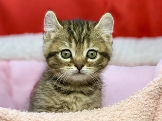 EFD775A2-225B-40A6-AA4E-2C7CAB89FE08