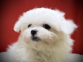 0CFCB77C-303A-4F25-8CA6-C2951AB7D66F