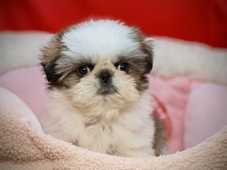 719C0BE7-856D-4BC1-BE3A-9C5F31CBFD0D